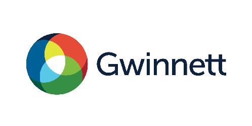 Gwinnett Voting